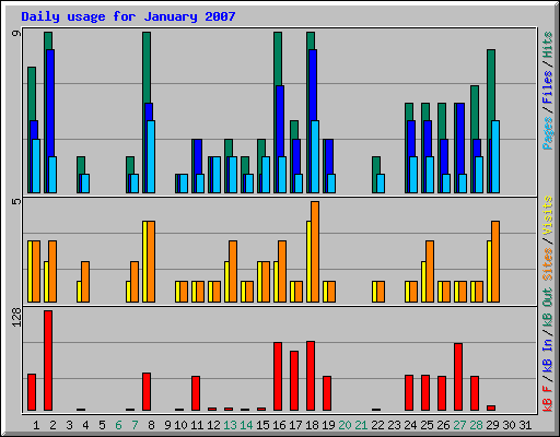 Daily usage for January 2007